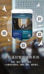 爱鸽者官方版截图3