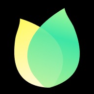 飞火动态壁纸手机版