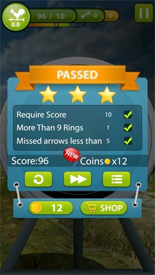 Archery Master 3D(射箭大师3D)截图4