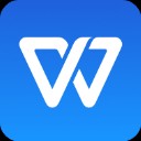 WPS Office Pro央企定制版app
