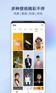 vivo桌面官方版截图4