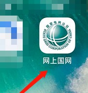国家电网缴费app怎么开发票 国家电网缴费开发票方法