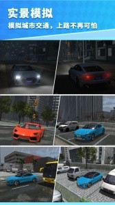 驾考模拟3d练车软件截图4