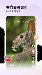 头条搜索极速版app截图5