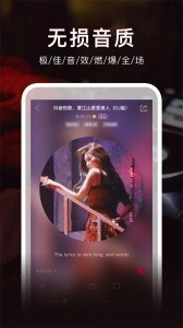 DJ秀车载版app截图2