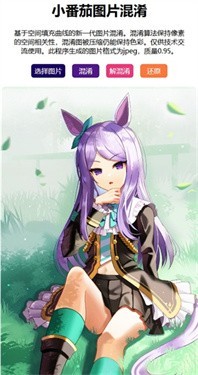 小番茄图片混淆app截图4