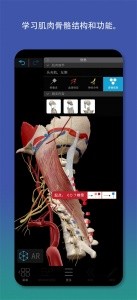 2026人体解剖学图谱app截图4