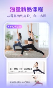 每日瑜伽最新版截图3