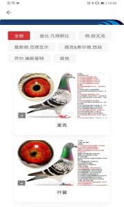 邢小信官方版截图2