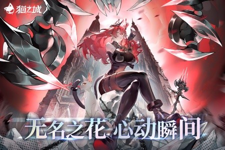 猫之城官方版截图1